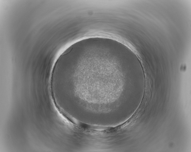 X0000094221536200711021127