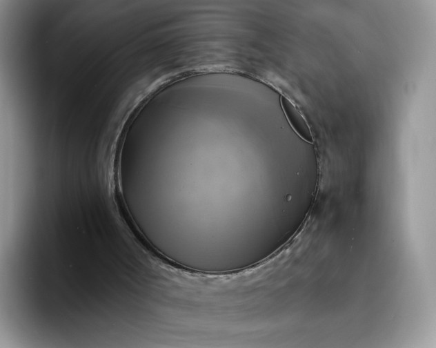 X0000094220002200711091304