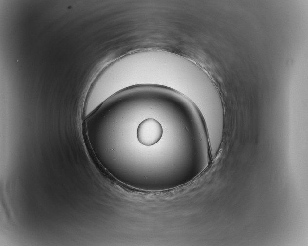 X0000094220003200711091304