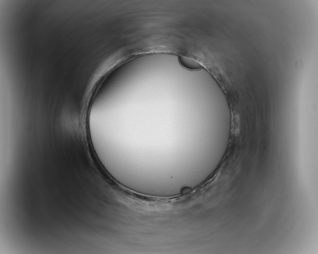 X0000094220004200711091304