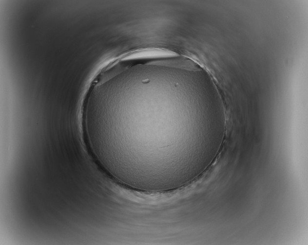 X0000094220006200711091304