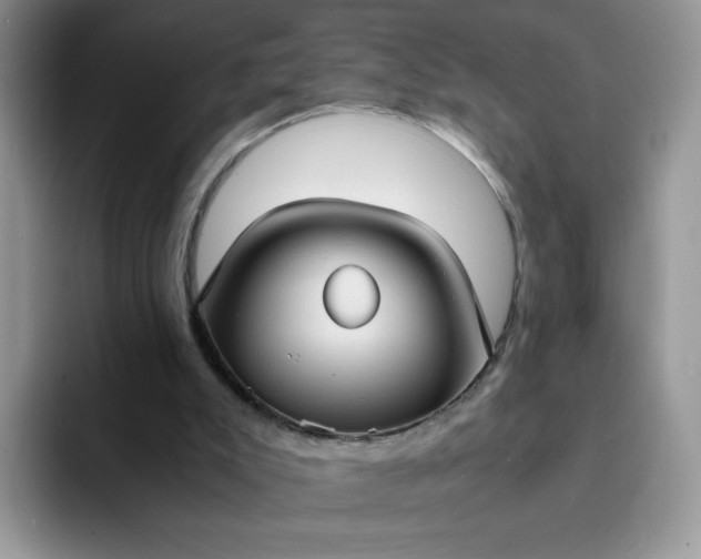 X0000094220007200711091304