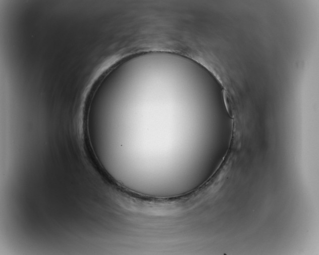 X0000094220008200711091304