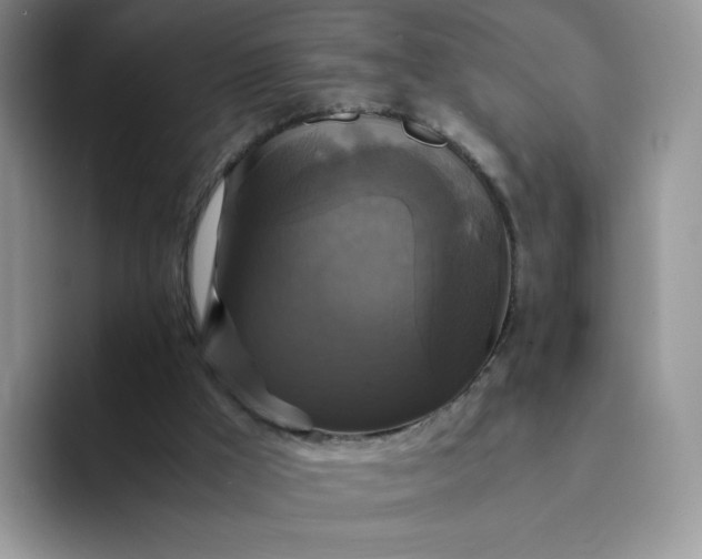 X0000094220009200711091304