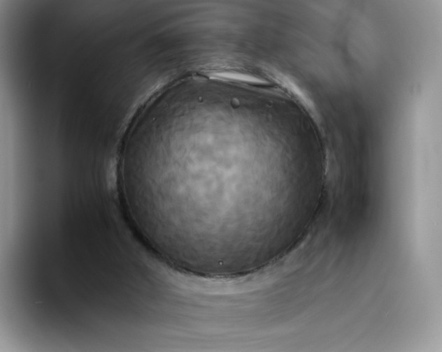 X0000094220010200711091304