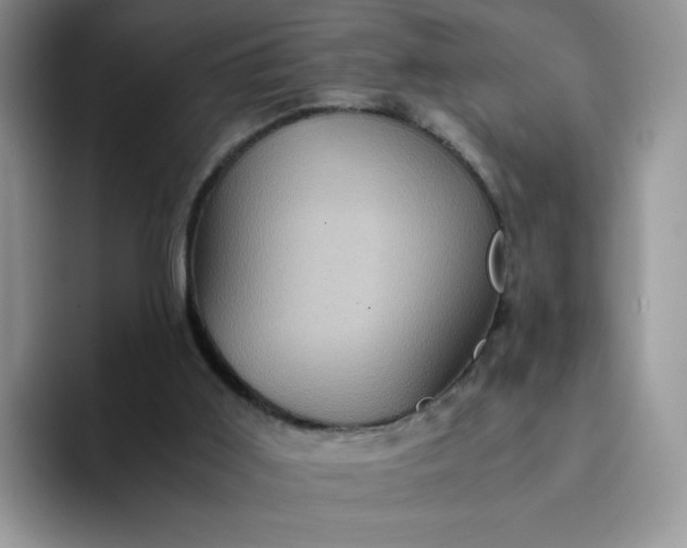 X0000094220011200711091304