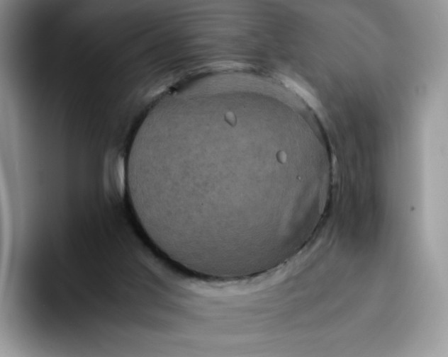 X0000094220013200711091304