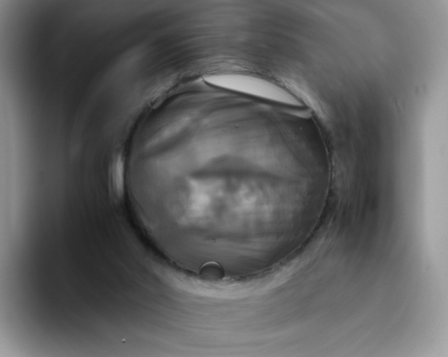 X0000094220014200711091304