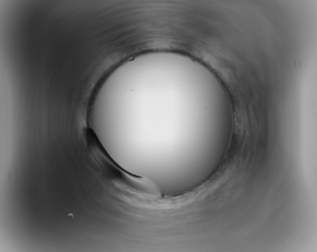 X0000094220015200711091304