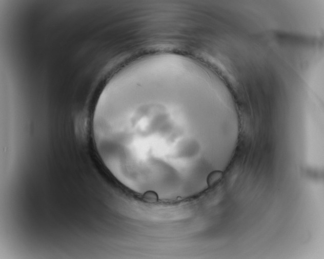 X0000094220016200711091304