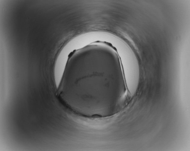 X0000094220019200711091304