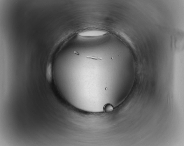 X0000094220020200711091304