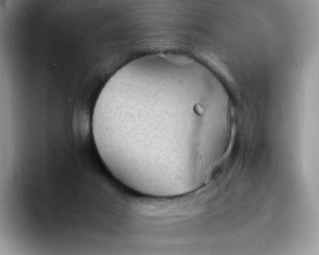 X0000094220021200711091304