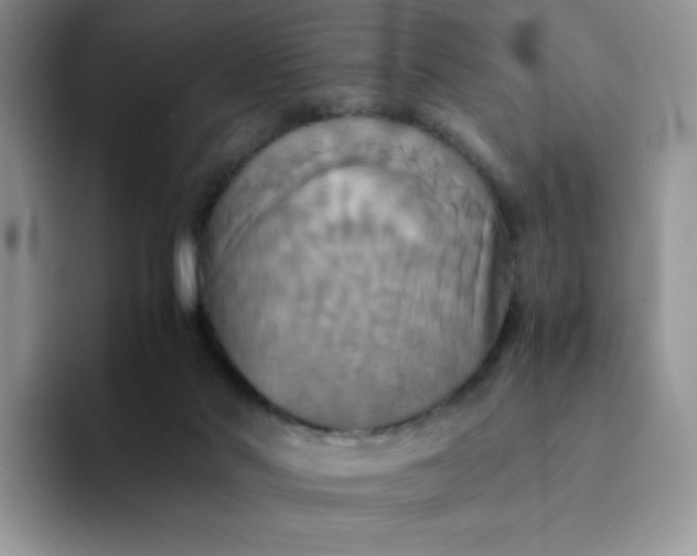 X0000094220022200711091304