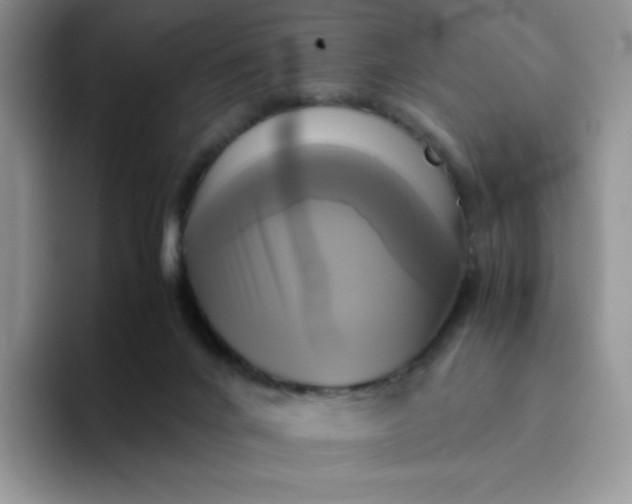 X0000094220024200711091304