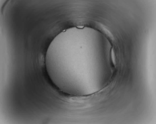 X0000094220025200711091304