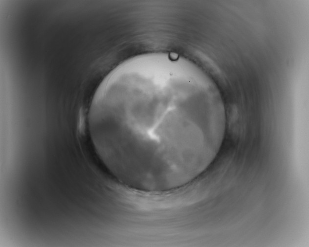 X0000094220026200711091304