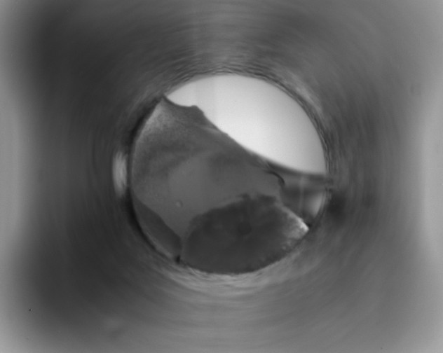 X0000094220027200711091304