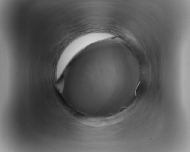 X0000094220029200711091304