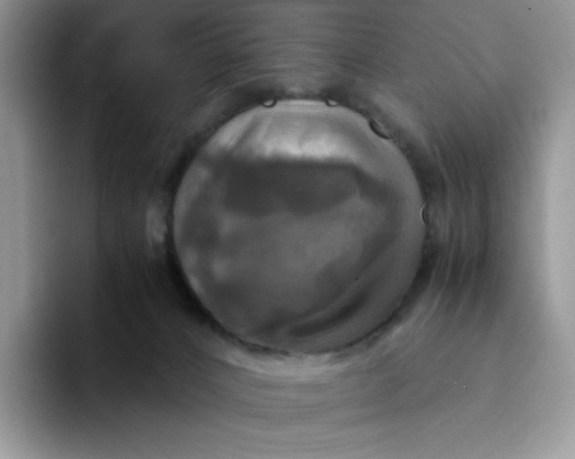 X0000094220032200711091304