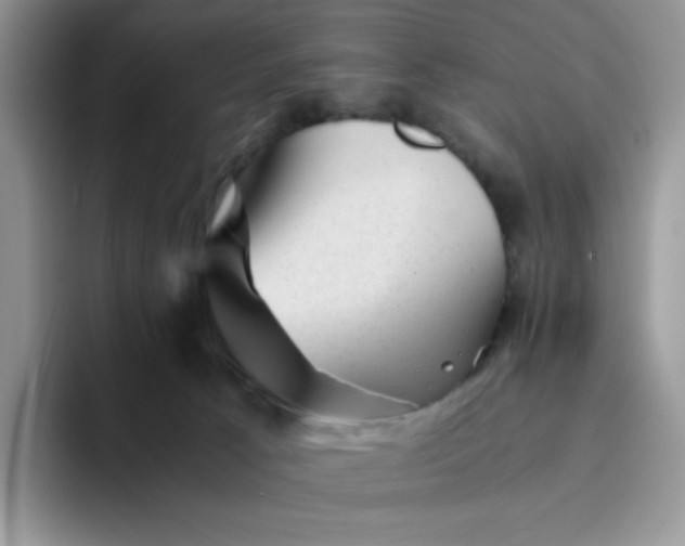 X0000094220033200711091304