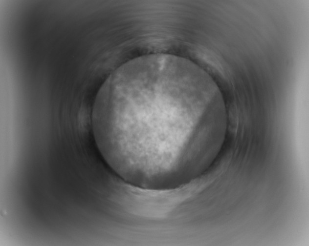 X0000094220034200711091304