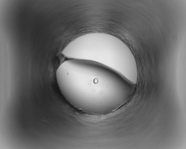 X0000094220037200711091304