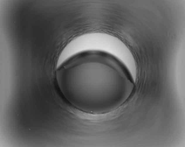 X0000094220039200711091304