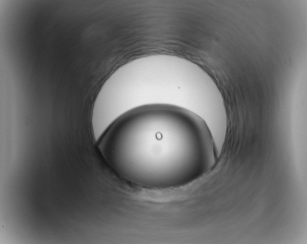 X0000094220041200711091304