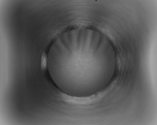 X0000094220042200711091304