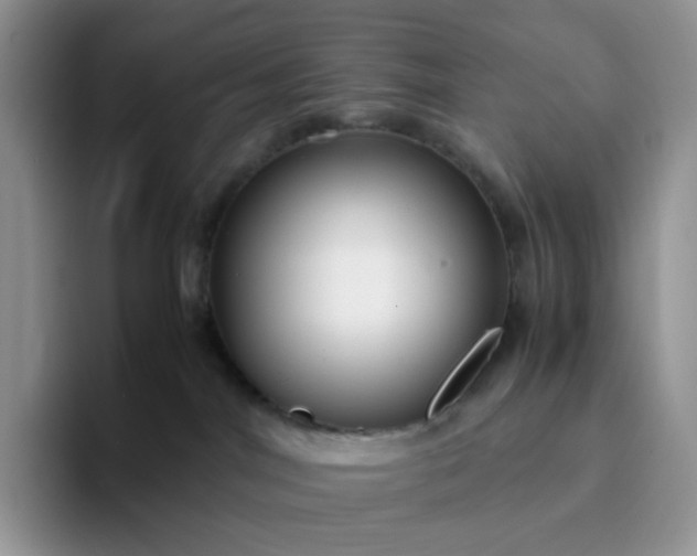 X0000094220044200711091304