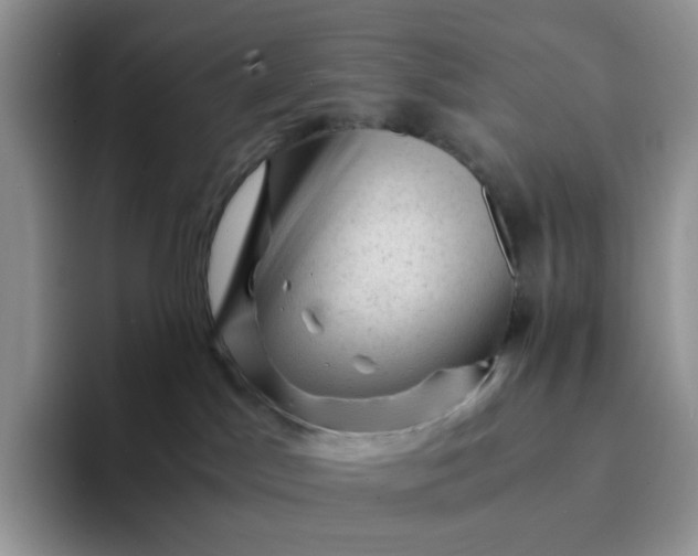 X0000094220045200711091304