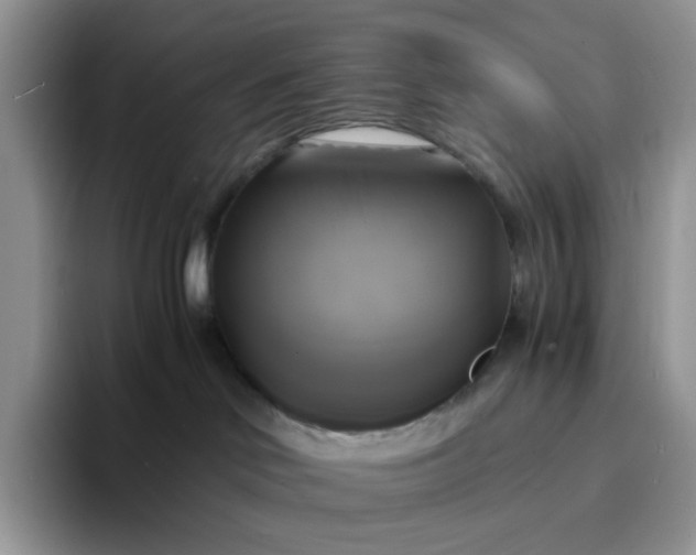 X0000094220046200711091304