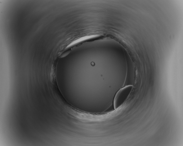 X0000094220048200711091304