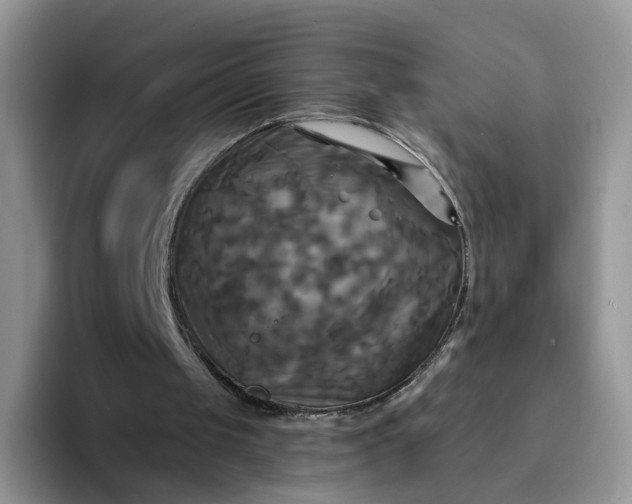 X0000094220049200711091303