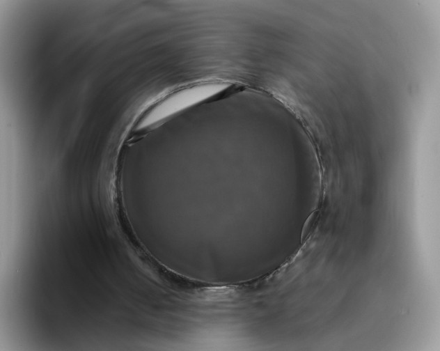 X0000094220050200711091303