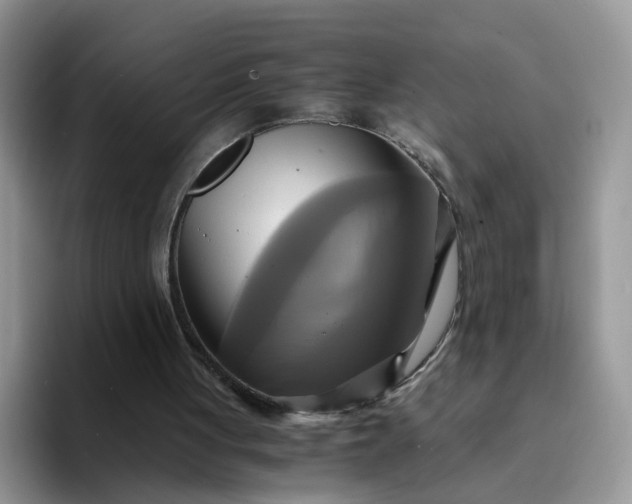 X0000094220051200711091303