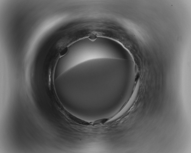 X0000094220052200711091303