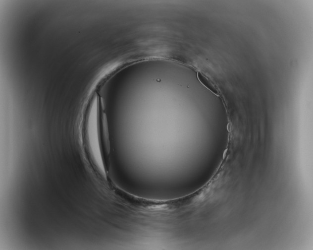 X0000094220054200711091303