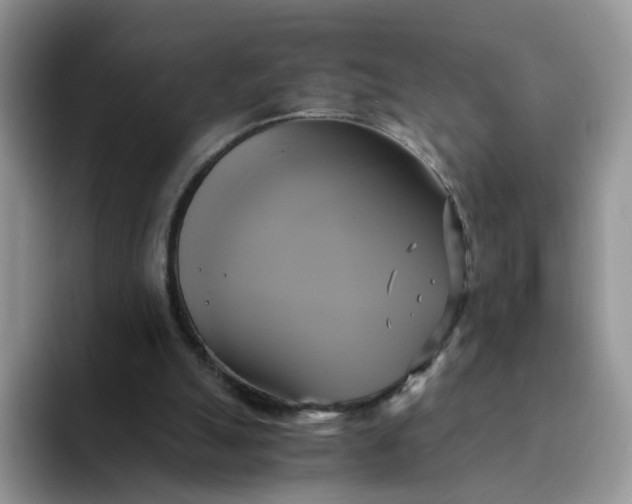 X0000094220055200711091303