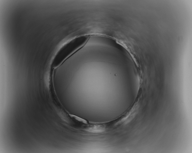 X0000094220056200711091303