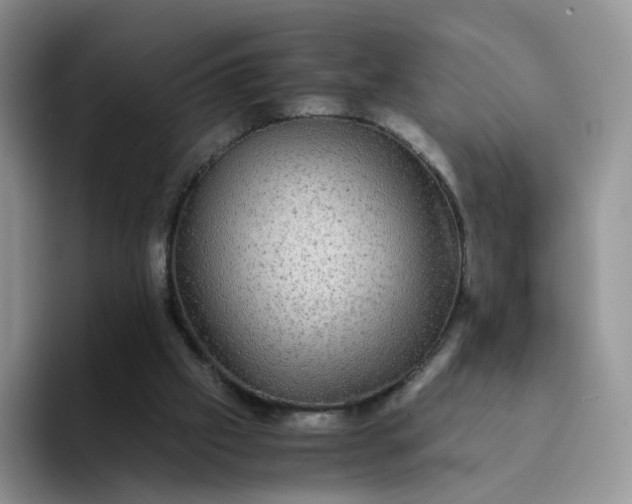 X0000094220057200711091303