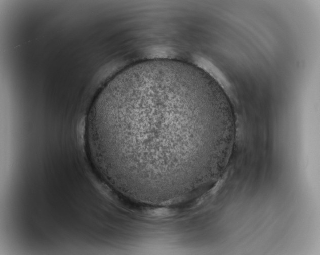 X0000094220058200711091303