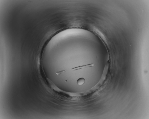 X0000094220059200711091303