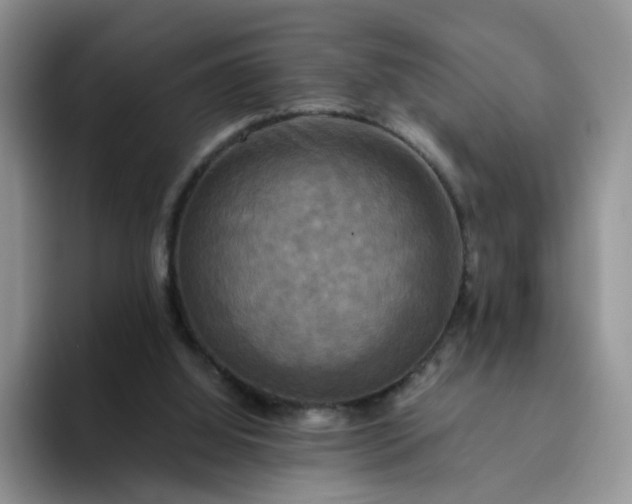 X0000094220060200711091303