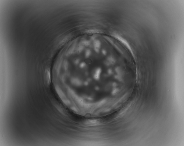 X0000094220061200711091303