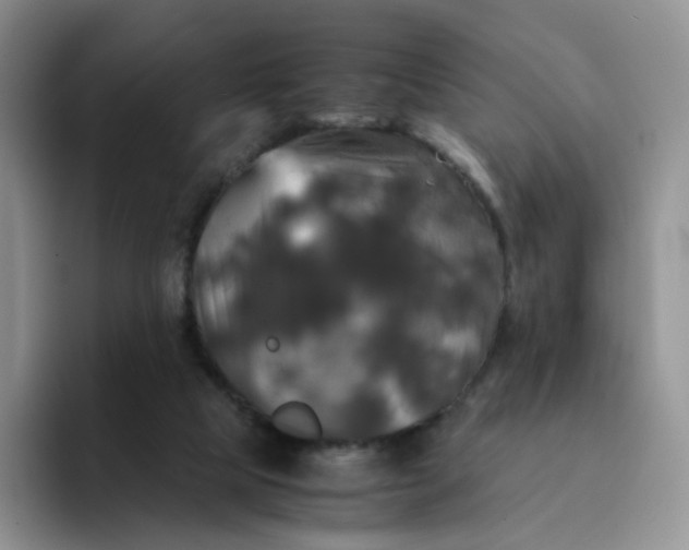 X0000094220065200711091303