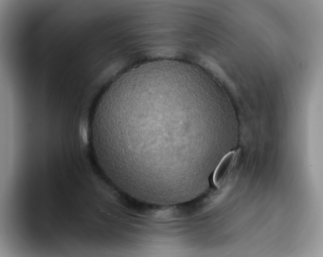 X0000094220068200711091303