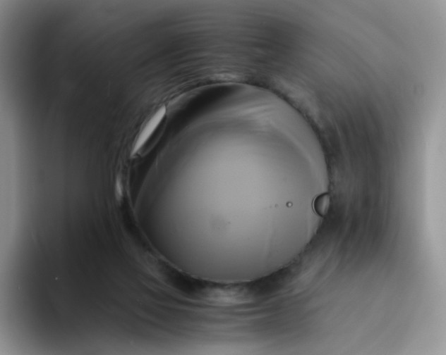 X0000094220069200711091303