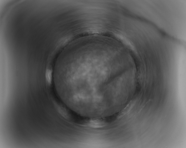 X0000094220070200711091303